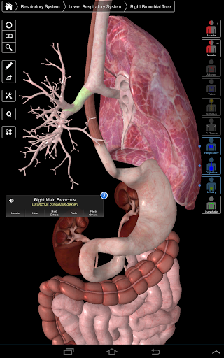 essential anatomy 3 help